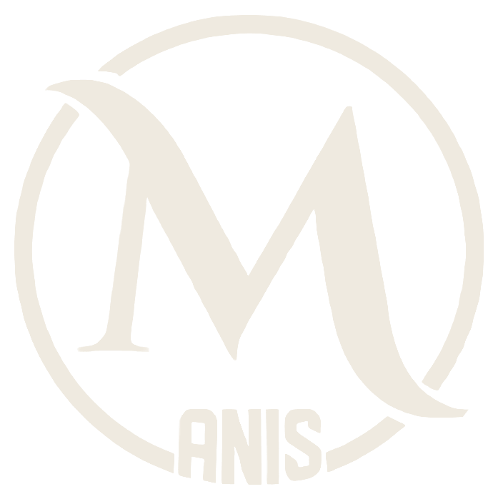 Mohamed Anis